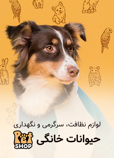 از بازی تا نظافت، برای پت شما